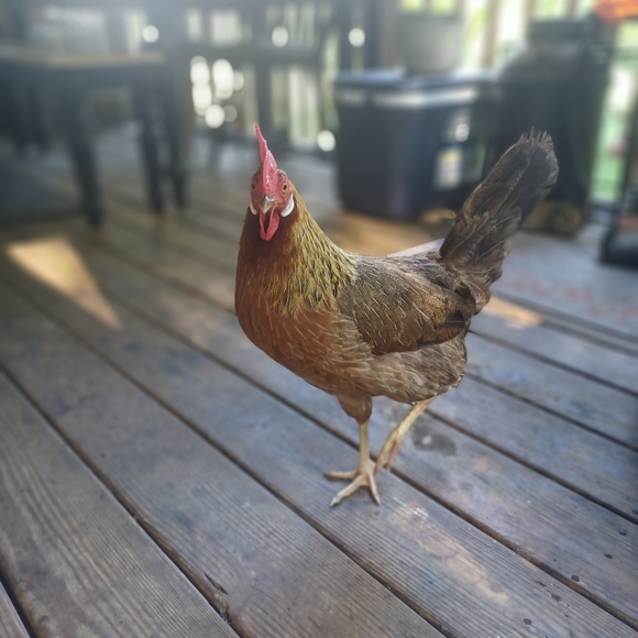 Meet your Posher, Mary - Picture 13 of 16